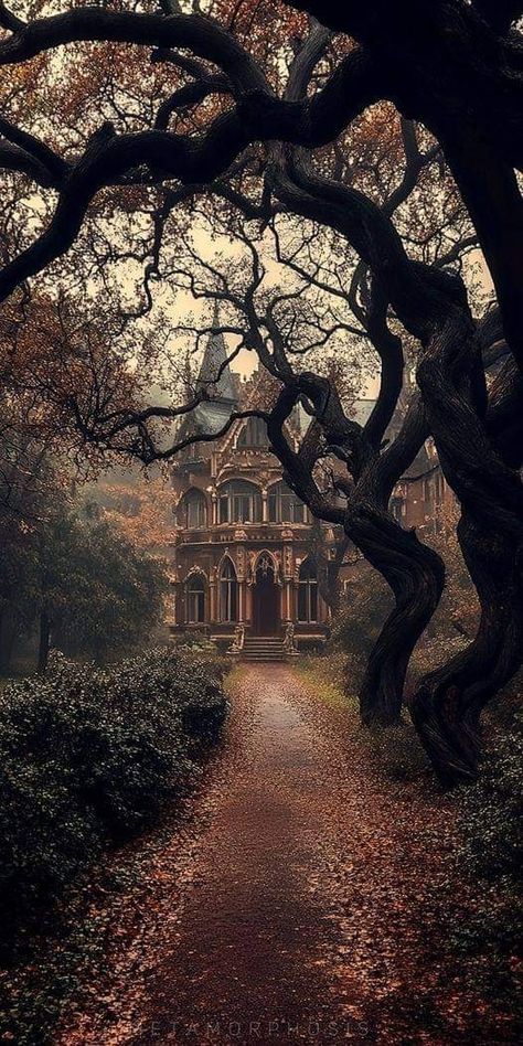 Dark Victorian Aesthetic, Victorian Gothic Aesthetic, Manor Aesthetic, Witchy House, Dark House, Dark Home, Gothic Aesthetic, Fantasy Places, Dark Gothic