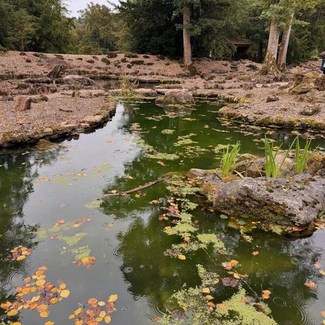 🥰I’ve had the most wonderful day exploring @lowther_castle with family🥰 [Ad/pr visit] Until a few weeks ago I didn’t even know Lowther was a place!! 😲 we stumbled upon it accidentally whilst heading over to the Lakes and I just knew I had to explore more. It’s full of wonderful gardens with lots of potential. An ongoing project in many areas so I imagine each visit will be even better than the last! The castle was quite spectacular and I spent some time just wandering around trying to ima... The Castle, Wonderful Day, Castle, Lake, Wonder, Quick Saves