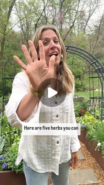 Vegetable And Herb Garden, Perennial Herb Garden, How To Grow Herbs, Herb Gardens, Herb Garden Ideas Outdoor, Herb Garden Ideas, Herb Garden Outdoor, Secret Garden Ideas, Best Herbs To Grow