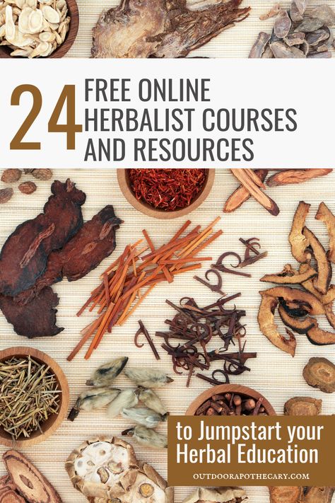 Looking to delve into the world of herbalism? Our blog article highlights 24 amazing free online herbalist courses and resources that will jumpstart your herbal education. From beginner to advanced, these courses cover a range of topics and provide a solid foundation for your herbal studies. Start your journey towards becoming a herbalist today! Herbs Medicine, Medicine Garden, Herbal Education, Herbal Steam, Herbal Remedies Recipes, Medical Herbs, Kitchen Witchery, Herbal Recipes, Herbal Tinctures