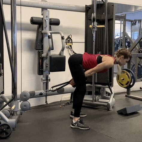 Pull Cable Workout, Cable Lat Pull Down, Push Day Workout Cable Machine, Cable Pull Through Glutes, High Calorie Smoothies, 2024 Workout, Deadlift Cable Machine, Barbell Hip Thrust, Hiit Abs