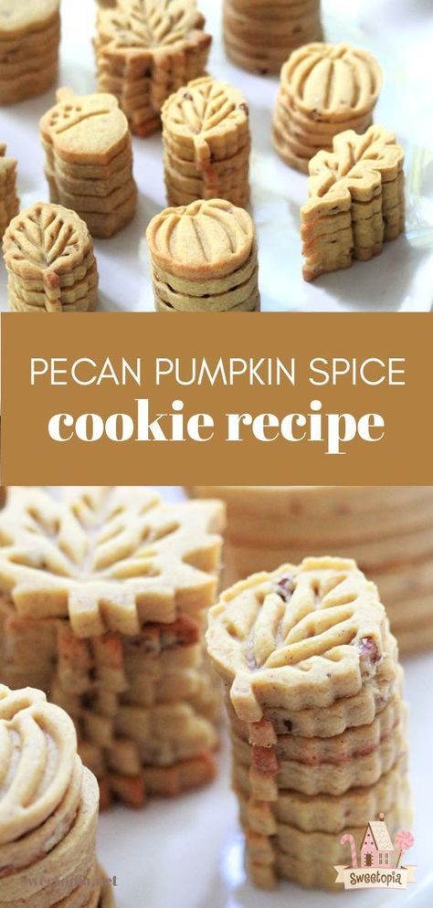 Pecan Pumpkin Spice Cookies, Pecan Cutout Cookies, Fall Cutout Cookie Recipe, Pumpkin Spice Rollout Cookies, Pumpkin Spice Biscuits, Pumpkin Spice Shortbread, Pecan Sugar Cookie Recipe, Rollout Sugar Cookie Recipe, Pumpkin Cutouts Cookies