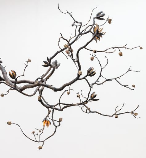 David Wiseman | Illuminated Branch Sculpture, Desert Yucca Bloom Branch Aesthetic, David Wiseman, Branch Sculpture, Dry Branch, Modern Hanbok, Happy Birthday Frame, Working Drawing, Blooming Trees, Asian Painting