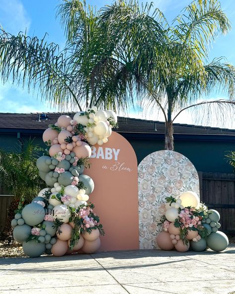 Simple Baby Shower Backdrop Girl, Baby In Bloom Baby Shower Theme Decor, Baby In Bloom Balloon Arch, Baby Shower Backdrop Ideas Girl, Baby In Bloom Backdrop, Backdrop Aesthetic, Barely Wait, Balloon Styling, Baby Shower Photo Backdrop