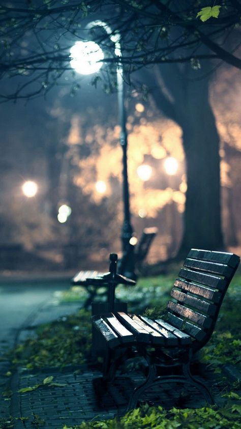 Lonely Bench Park At Night, Park Benches, Park Photography, Rainy Night, Street Lights, Photography Gallery, A Park, Girlfriend Boyfriend, Street Light