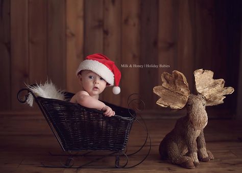 Holiday sessions with Milk & Honey Photography Baking Photoshoot, Baby Christmas Photography, Christmas Baby Pictures, Honey Photography, Baby Christmas Photos, Xmas Photos, Christmas Portraits, Christmas Shoot, Christmas Mini Sessions