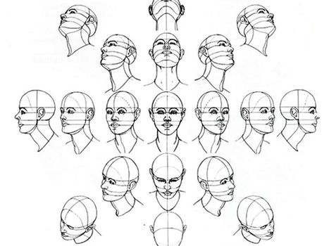 Some drawing references! *Mostly human* - Imgur Drawing The Human Head, Drawing Hair, 얼굴 그리기, Drawing Heads, Human Figure Drawing, Human Drawing, Drawing Faces, Different Angles, Anatomy Drawing