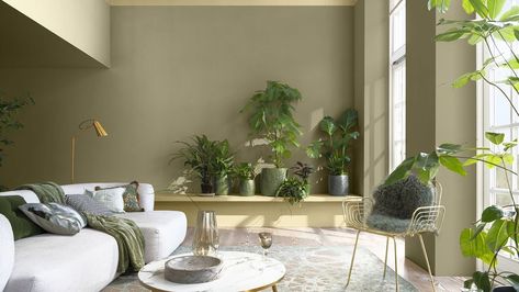 Wild Wonder, Colour Trend, Natural Magic, Colour Trends, Spruce Up Your Home, Latest Colour, Colour Palettes, Natural Tones, Color Of The Year