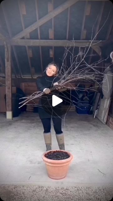 Potted Branches, Diy Willow Tree, Flower Garden Inspiration, Garden Ladder Ideas, Christmas Presents For Adults, Willow Garden, Plants In Pots, Living In Harmony, Eco Garden