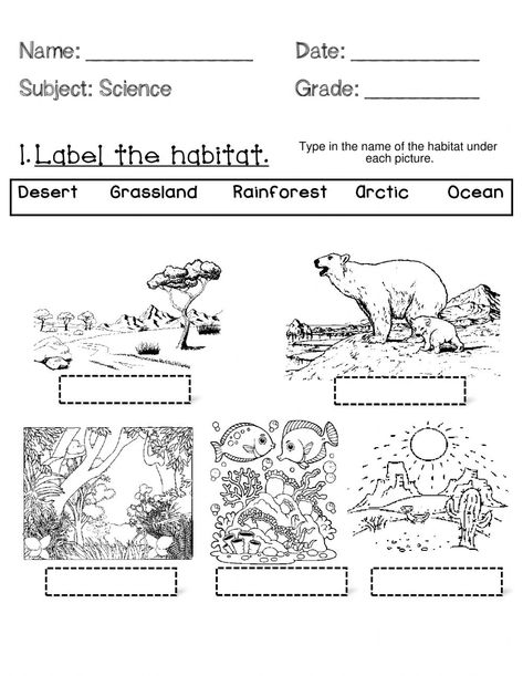 Habitats 2nd Grade, Animal Habitat Worksheet, Habitat Worksheet, Christmas Multiplication Worksheets, Science 2nd Grade, World Habitat Day, Halloween Homeschool, Math Logo, Worksheets For 2nd Grade