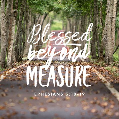 Blessed Beyond Measure. 
Ephesians 3:18-19 Bible Verse with walkway with trees on each side and leaves in the background. Ephesians 3:19, Bible Wallpaper, Blessed Beyond Measure, Grow Your Faith, Home Lock Screen, Church Bulletin, Printable Bible Verses, Prayer Quotes, Wonderful Words