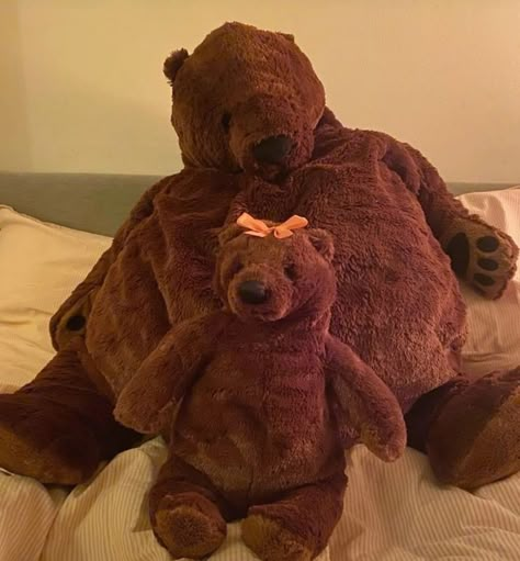 Couples Plushies, Couple Stuffed Animals, Djungelskog Aesthetic, Djungelskog Bear, Ikea Bear, Ikea Toys, Jellycat Stuffed Animals, A Level Art Sketchbook, Brown Teddy Bear