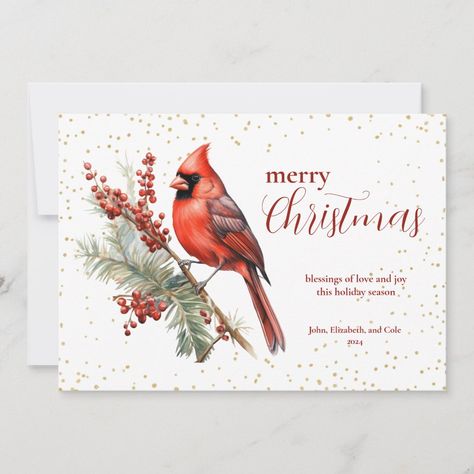 Rustic Watercolor Winter Cardinal Holly Branch Holiday Card Simple Watercolors, Cardinal Christmas Cards, Watercolor Cardinal, Cardinal Watercolor, Holly Branch, Berry Branch, Winter Cardinal, Rustic Watercolor, Angel Signs