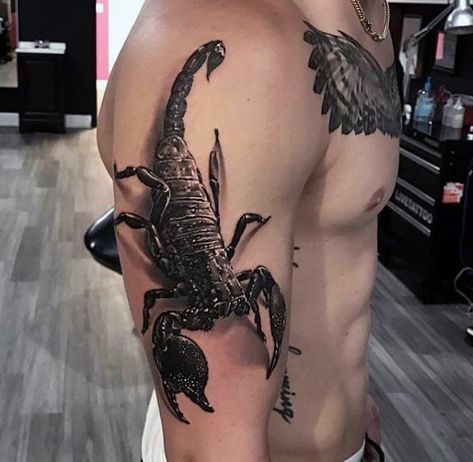 Outer Arm Scorpion 3d Mens Tattoo Ideas 3d Scorpion Tattoo, 3d Tattoo Designs, Scorpio Zodiac Tattoos, Sky Tattoos, Scorpio Tattoo, Tattoo Inspiration Men, Samoan Tattoo, Scorpion Tattoo, Tattoos Geometric