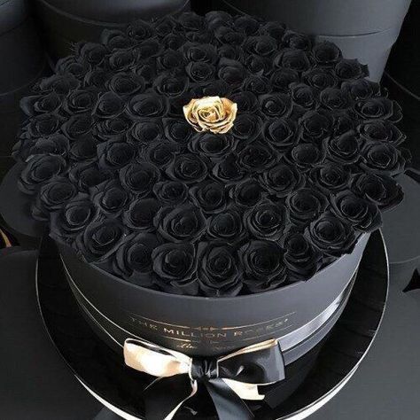 Million Roses, Rosen Box, Flower Box Gift, Black Roses, Flowers Bouquet Gift, Trendy Flowers, Luxury Flowers, Black Flowers, Happy Colors