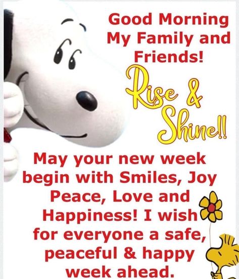 Good Morning Happy Monday Quotes, Snoopy Prayers, New Week New Blessings, Quotes For Monday, Snoopy Hugs, Snoopy Friday, Snoopy Gifs, December Scriptures, Goodnight Snoopy