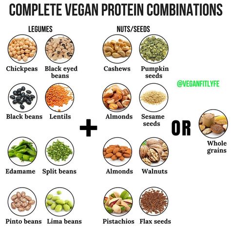 Vegan Fit Life on Instagram: “Complete Protein Combinations 💚 . Tag a friend who needs to see this 🙏 . Your thoughts? . If you're a vegan, or "strict vegetarian," you…” Complete Protein Combinations, Vegetarian Proteins, Nutritional Meals, Vegan Proteins, Vegan Motivation, Best Vegan Protein Powder, Vegetarian High Protein, Vegan Staples, Plant Based Protein Sources