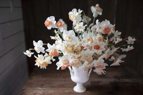 Erin Benzakein, Flower Aesthetics, Flower Boquet, Narcissus Flower, Spring Florals, Flower Farmer, Spring Bouquet, Spring Blooms, Spring Flower