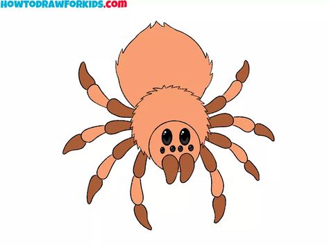 How to Draw a Tarantula - Easy Drawing Tutorial For Kids Spider Drawing Simple, Tarantula Drawing, Step By Step Crafts, Spider Drawing, Tips For Drawing, Painting Step By Step, Drawing Lessons For Kids, Sketching Tips, How To Draw Animals