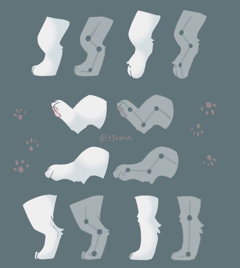 Paw Drawing, Cats Drawings, Cat Drawing Tutorial, Animal Anatomy, Art Help, Drawing Refs, Tutorials Drawing, Concept Art Drawing, Digital Painting Tutorials