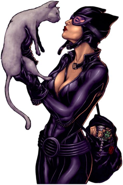 Pretty Kitty.. Anne Hathaway Catwoman, Comic Pop Art, Catwoman Comic, Catwoman Selina Kyle, Kaptan Jack Sparrow, Best Comic Books, Indie Comic, Cat Woman, Batman And Catwoman