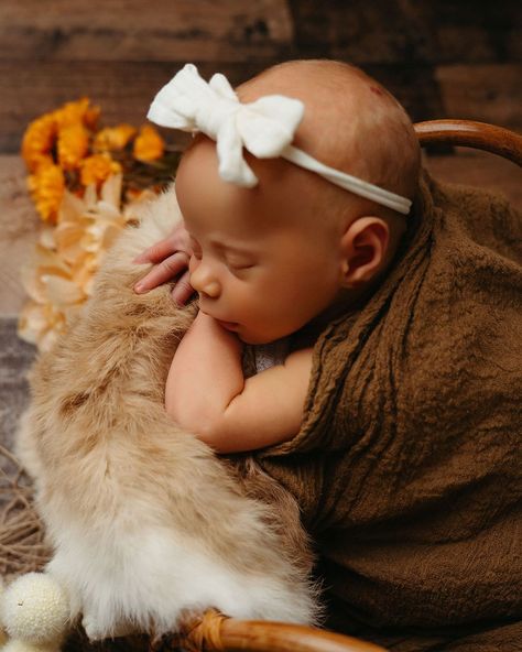 🍁 Welcoming Autumn with Tiny Toes! 🍂👶  Say hello to this little bundle of joy, captured against a rustic wooden backdrop that perfectly echoes the warm hues of fall! 🌾 Wrapped in cozy textures and accompanied by a hint of autumn’s golden florals, this session celebrates the season in the sweetest way possible.  I had a wonderful time creating these fall-themed memories, ensuring every little detail was just right to complement our adorable subject. #FallNewbornPhotography #AutumnBaby Newborn Girl Fall Photoshooting Ideas, Fall Newborn Photoshoot Ideas, Thanksgiving Newborn Photoshoot, Fall Newborn Photography, Wooden Backdrop, Wooden Backdrops, Bundle Of Joy, Fall Pictures, Newborn Photoshoot