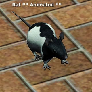 Simming in Magnificent Style: Rat ** Animated ** Congo African Grey, African Grey, Rodents, Electronic Art, Sims 2, Sims 3, Best Games, Sims 4 Mods, Rats