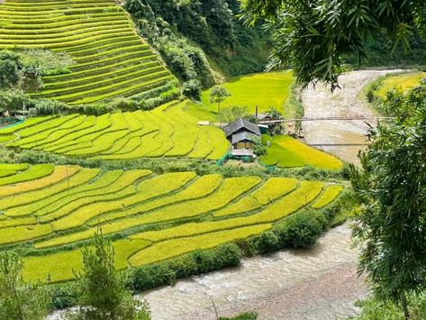 Sapa-Vietnam travel tips French Name, Martial Arts Tournament, Dragon Boating Racing, Dragon Boat, Boat Race, Dress Appropriately, Long History, Rural Area, Time To Go