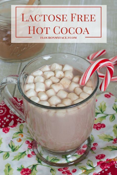 Lactose Free Hot Cocoa and dairy free hot cocoa mix recipe via flouronmyface.com #ad #Lactaid #DairyEnvy Lactose Free Hot Chocolate Crockpot, Coco Recipes, Dairy Free Hot Cocoa, Crockpot Dairy Free, Cocoa Mix Recipe, Dairy Free Hot Chocolate, Crockpot Christmas, Hot Cocoa Mix Recipe, Holiday Food Crafts