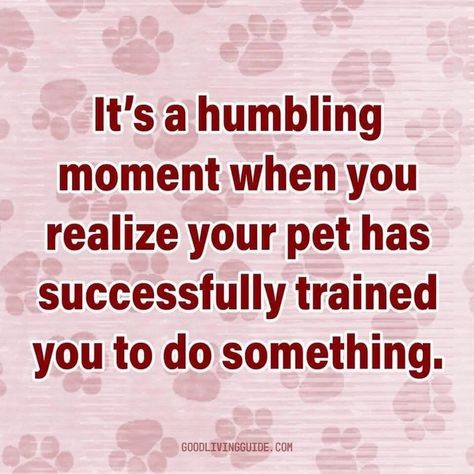 🙃🙃 Love Dog Quotes, Funny Dog Quotes, Dog Quotes Love, Dog Quotes Funny, Lovers Quotes, Dog Rules, Dogs Puppy, Dogs Of The World, Quotes Love