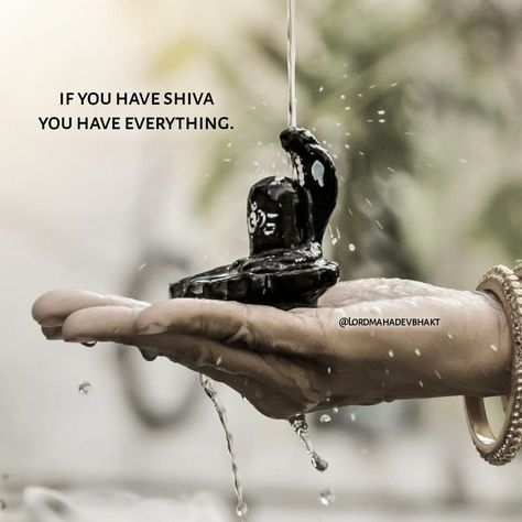 Shiva Dp, Sivan Lord, Om Namah Shivaya Quotes, Krishna Sayings, Lord Quotes, Shiva Quotes, Lord Quote, Mahadev Shiva, Mahadev Ji