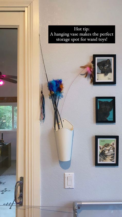 Storage For Cat Supplies, Cat Wall With Storage, Cat Home Ideas Indoor Diy, Cat Wall Toys, Pet Toy Storage Ideas, Cat Toy Organization, Cat Food Storage Ideas, Cat Toy Storage Ideas, Cat Food Organization