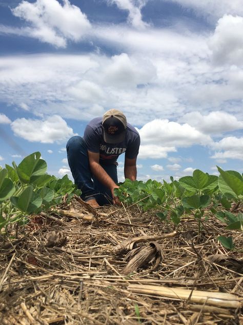 Agronomy Aesthetic, Cowboy Pictures, Chaotic Academia, Pablo Escobar, Country Men, Slow Life, Dream Guy, Ecology, Instagram Feed