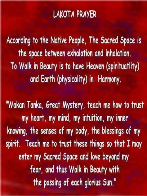 A Lakota Prayer Lakota Spirituality, Lakota Language, Native Wisdom, Lakota Indians, Native Quotes, American Indian Quotes, Native American Prayers, Native American Proverb, Native American Spirituality