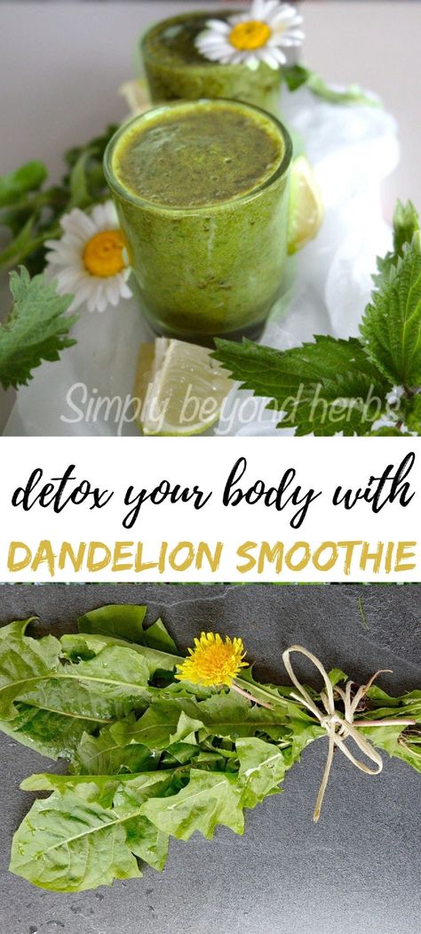 green smoothie, dandelion smoothie Dandelion Leaf Recipes, Dandelion Smoothie, Cleansing Recipes, Longevity Recipes, Blue Zones Recipes, Dandelion Leaf, Zone Recipes, Food Foraging, Eliminate Toxins