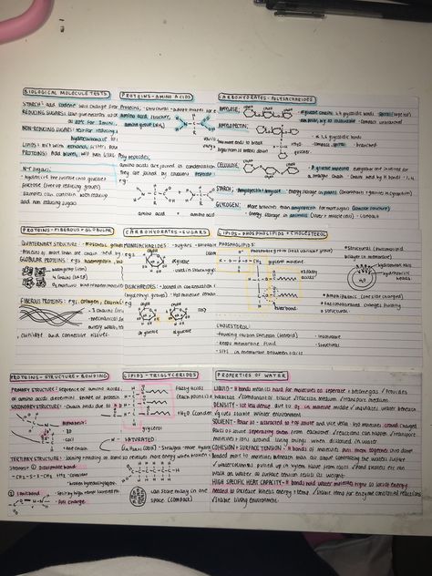 Biological Molecules A Level, A Level Biology Flashcards, Aqa A Level Biology, Flash Cards Ideas Study Science, Biological Molecules Notes, A Level Biology Aesthetic, Flash Cards Revision, Alevel Biology, Biology Flashcards