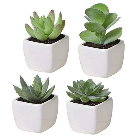 Assorted SucculentsNot only are these succulents adorable, but they require no water or sunlight—because they're plastic, obviously. They're true to size and come in stylish white ceramic planters.Buy it: Amazon, $20 Tall Succulents, White Ceramic Planter, Fake Plants Decor, Fake Succulents, Ceramic Planter Pots, Mini Succulents, Artificial Succulents, Mini Plants, Faux Succulents