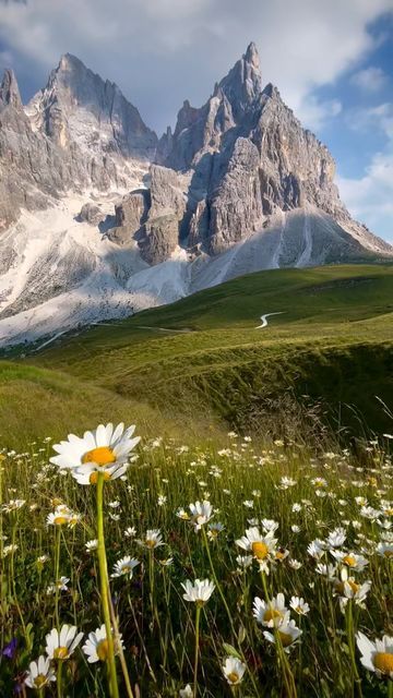 Halloween Pumpkin Painting Ideas, Halloween Pumpkin Painting, Mountain Landscape Photography, Pumpkin Painting Ideas, The Dolomites, Italy Aesthetic, Pumpkin Painting, December 8, Natural Phenomena