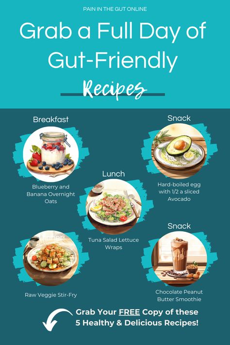 If you're tired of trying to figure out what to eat for gut health, look no further! Grab our Full Day of Gut-Healthy Recipes for FREE. These recipes take 15 minutes or less to prepare and require little or no cooking, perfect for hot summer months. #summerfood #summerrecipes #guthealth #gutheathrecipes Meals For Gut Health, Gut Reset Diet, Recipes For Gut Health, Gut Healing Diet, Healing Diet, Gut Health Recipes, Tired Of Trying, Veggie Stir Fry, Health Recipes