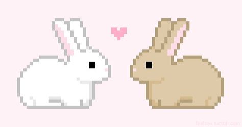 Rabbits, Gif, Pink, White