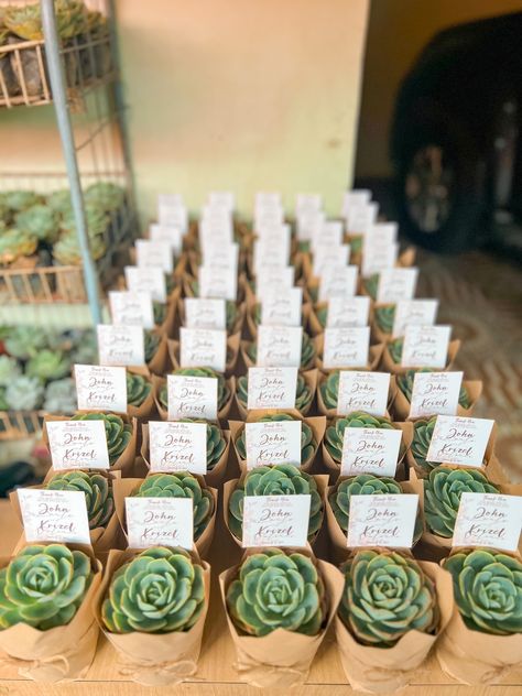 Succulents Souvenirs, Wedding Present Ideas, Dream Wedding Reception, Baby Succulents, Engagement Ceremony, Succulent Wedding, Wedding Gifts For Guests, Wedding Souvenirs, Wedding Stage