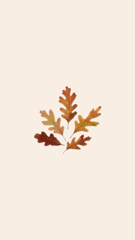 Layout, Wallpapers, Fall Ios, Ios Icon, Fall Leaves, Autumn Leaves, Ios November Pfp, November Icons, November Widget, Wallpapers Fall, Fall App Icons, Fall Ios, Thanksgiving Icon, Creative Photography Logo, Thanksgiving Graphics