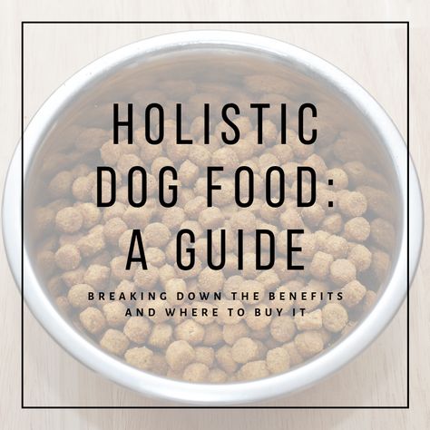 The Benefits of Holistic Dog Food Holistic Dog Food Recipes, Holistic Dog Food, Organic Dog Food, Organic Dog Treats, Dog Breeding, Healthy Dog Food Recipes, Australian Shepherds, Holistic Remedies, Homemade Dog Food