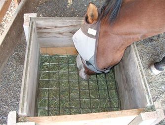 Horse Slow Feeder, Diy Hay Feeder, Hay Feeder For Horses, Horse Feeder, Horse Tack Rooms, Livestock Shelter, Horse Farm Ideas, Horse Paddock, Horse Hay