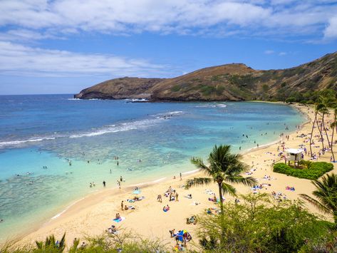 Kailua Oahu, Ala Moana Beach, Kailua Hawaii, Best Family Beaches, Hawaii Magazine, Lanikai Beach, Hanauma Bay, Nature Preserve, Hawaii Island