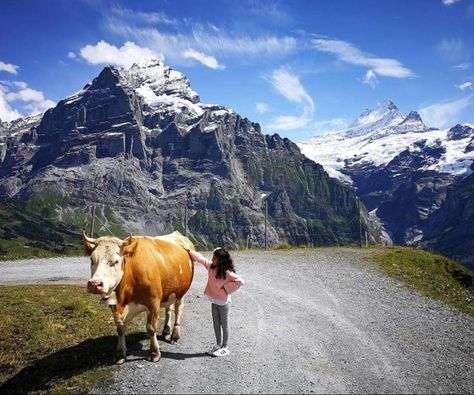 Switzerland Itinerary with Kids: Plan 7+ Perfect Summer Days! Switzerland With Kids, Best Places In Switzerland, Switzerland Adventure, Switzerland Summer, Grindelwald Switzerland, Italy Culture, Switzerland Itinerary, Places In Switzerland, Trip To Europe