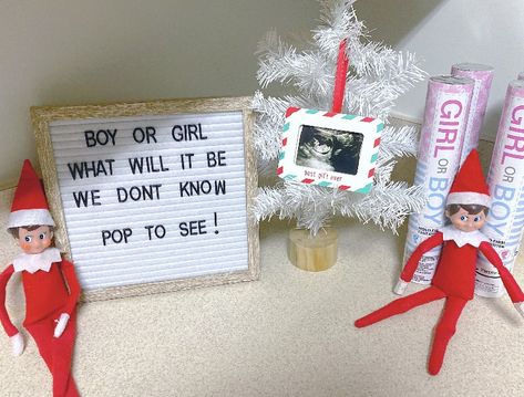 Elf On The Shelf Arrival New Baby, Elf On The Shelf Baby Announcement, Elf Gender Reveal Ideas, Elf On Shelf Baby Announcement, Elf On The Shelf Gender Reveal, Pregnant Elf On The Shelf Ideas, Elf Pregnancy Announcement, Elf On The Shelf Pregnant, Elf On The Shelf Pregnancy Announcement