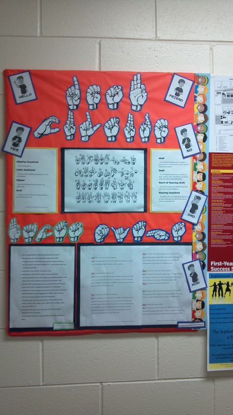 Deaf Culture Board Deaf Education Classroom, Asl Bulletin Board Ideas, Deaf Classroom, Asl Classroom, College Bulletin Boards, Deaf Awareness, Classroom Interior, Deaf Education, Ra Boards