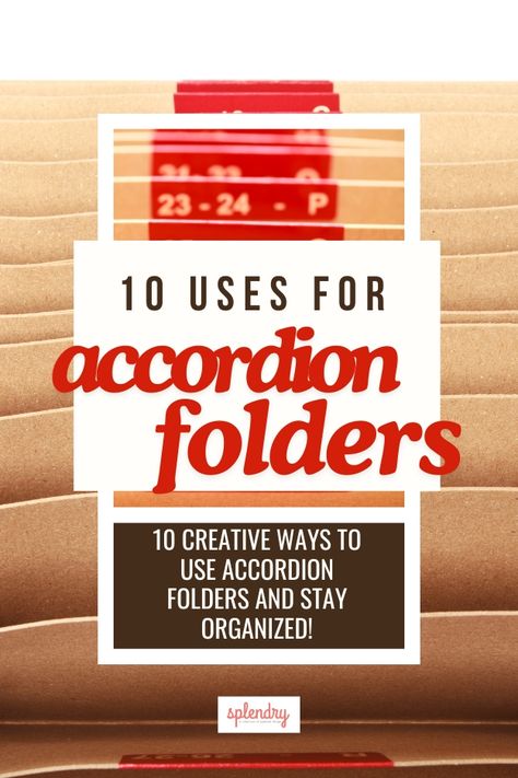 Wondering what to do with accordion folders? Discover 10 creative and practical ways to organize your life, from managing important documents to planning DIY projects. Get inspired to declutter and stay organized with these simple tips! Folder Ideas, Accordion Folder, Ways To Organize, Math Test, New Uses, Home Office Organization, Birth Certificate, Organize Your Life, Perfect Baby Shower Gift