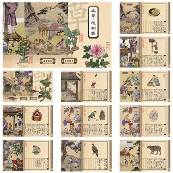 Bencao Gangmu E Book by Hao He Chinese Books, Chinese Book, Traditional Books, Medicine Book, Instagram Template Design, Magazine Layout Design, Traditional Medicine, Gallery Design, Design Competitions